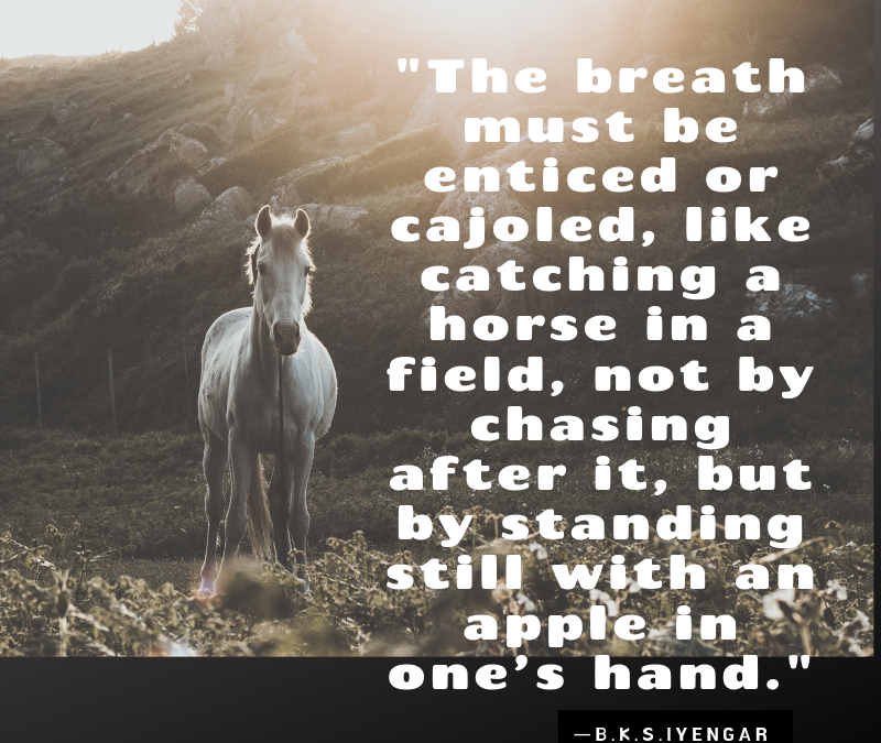 Finding time in every breath